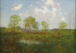Late Afternoon
