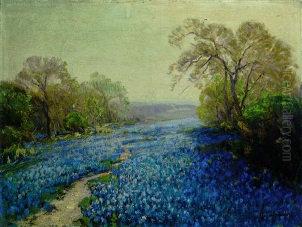 Blue Bonnets, Sunny Morning, San Antonio, Texas - view 1