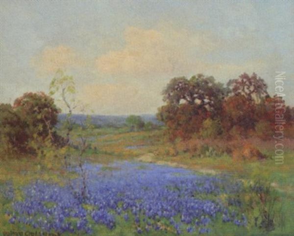 Landscape, Blue Bonnets - view 1