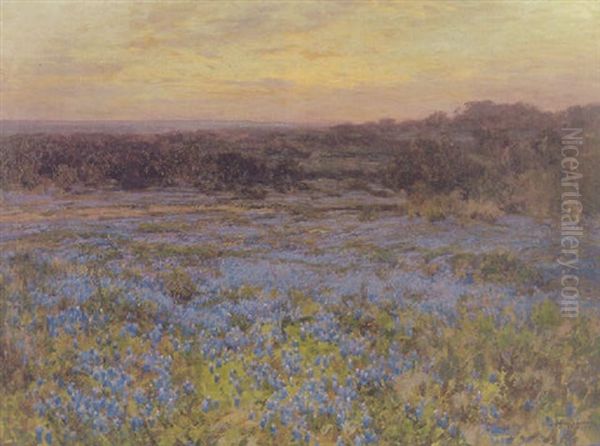 A Blue Bonnet Field At Sunset Near San Antonio, Tx - view 1