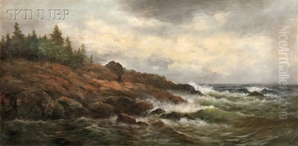 Schooner Head, Bar Harbor - view 1