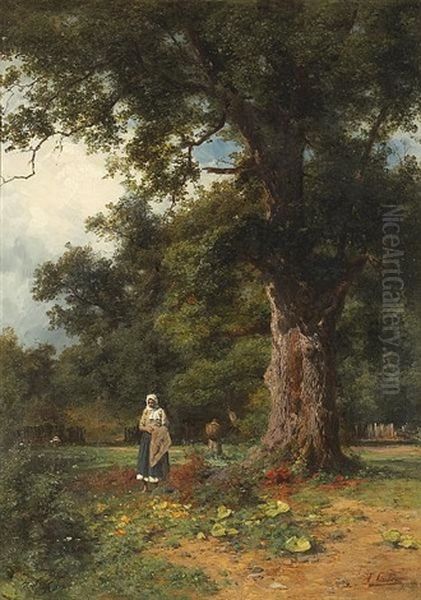 Harvesting Under The Oaks - view 1