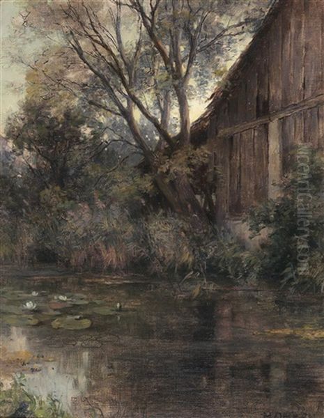 Scene In Plankenberg With Lilies In A Pond - view 1