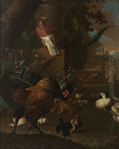 A Turkey, A Pigeon, A Peafowl, A Ruff And A Chicken With Chicks In A Park - view 1