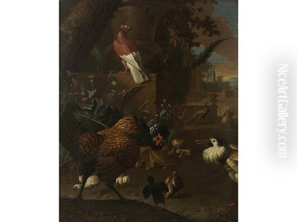 A Turkey, A Pigeon, A Peafowl, A Ruff And A Chicken With Chicks In A Park - view 1
