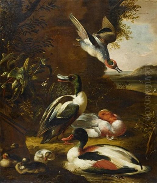Landschaft Mit Vogelvieh - view 1
