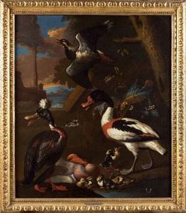 Oiseaux De Nuit