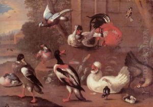 Exotische Huhner Und Enten Sowie Einige Ziervogel In Einer Voliere Vor Einem Schlospark Exotische Huhner Und Enten Sowie Einige Ziervogel In Einer Voliere Vor Einem Schlospark