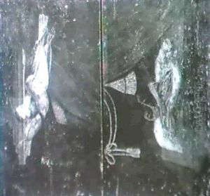Natures Mortes Aux Oiseaux                                  (2) by Katharina Oostfries