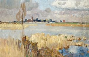 Flood Along The Rhine