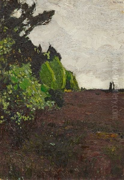 Heidelandschaft - view 1