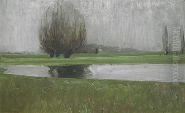 Willows By The Riverside - view 1