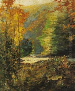 Waldinneres