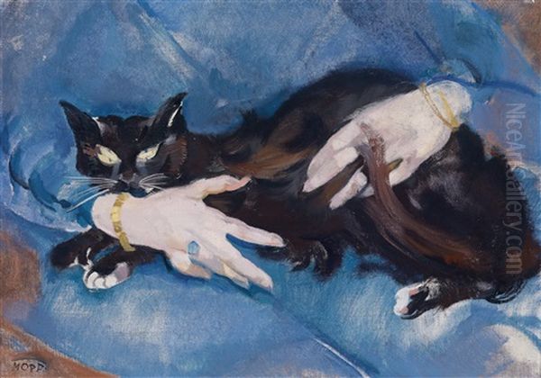 Die Schwarze Katze - view 1
