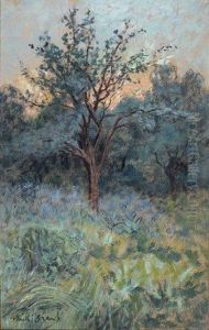 Un Coucher De Soleil Derriere Le Buisson