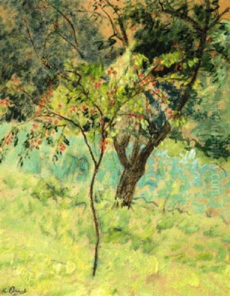 Le Petit Arbre En Fleurs - view 1