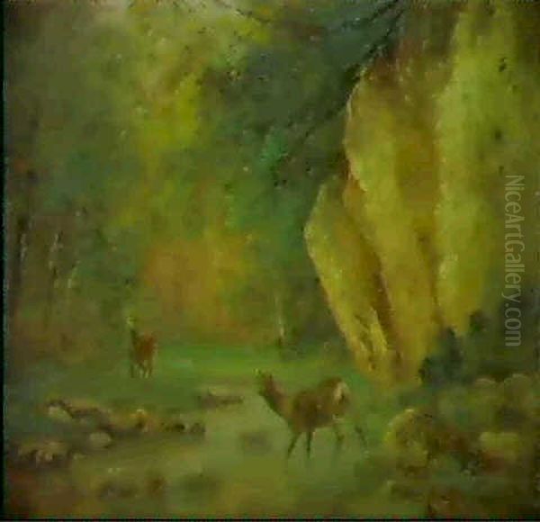 Biche Et Cerf - view 1