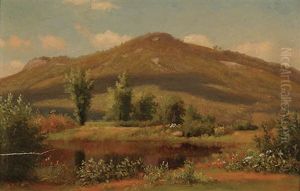 Meadow Pond by Alfred T. Ordway