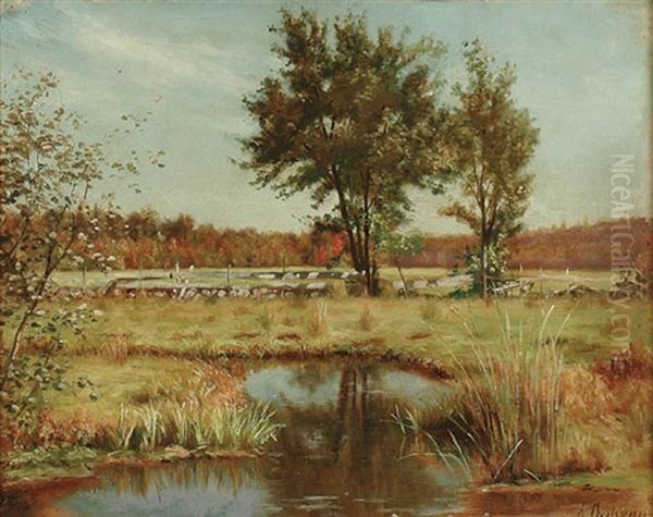Summer Landscape - view 1