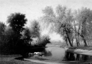 Cattle At The River's Edge, White Mountains