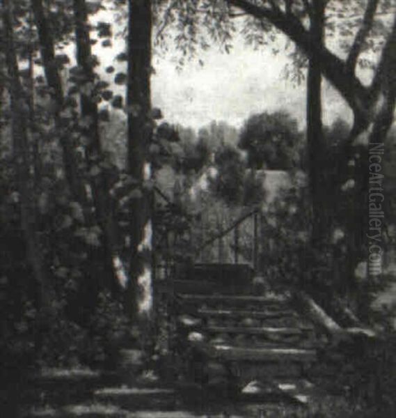 Path Through The Forest - view 1