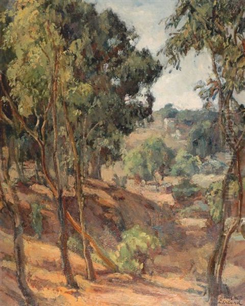 Landscape - view 1
