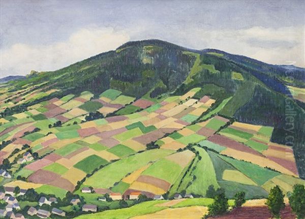 Barevna Pole U Jeseniku - view 1