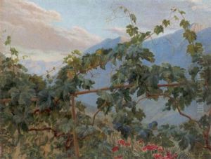 Weinranken
