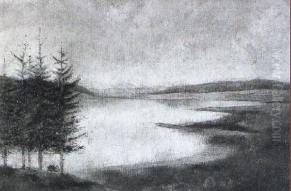 Seenlandschaft - view 1