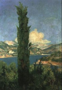 Zypresse Bei Kalamotta, Dalmatien