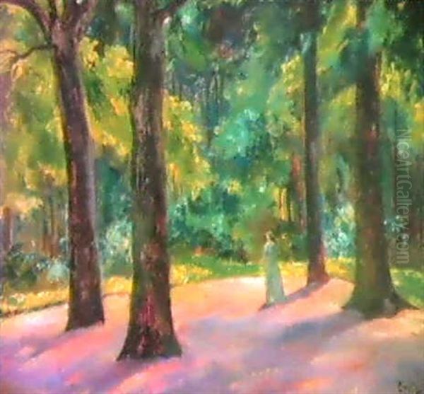 Spaziergang Im Wald - view 1