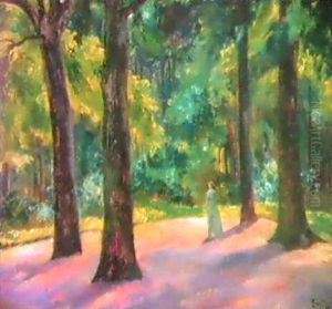 Spaziergang Im Wald