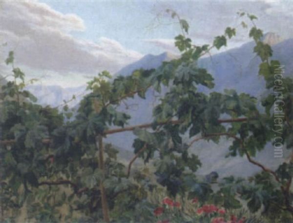 Partie Aus Civeta D'antonino - view 1