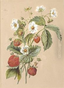 Study Of Strawberries by Fanny Blake