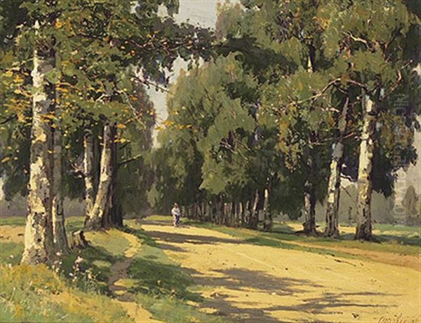 Birkenallee An Einem Prachtvollen Sommertag - view 1