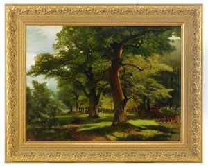 Forest Forest