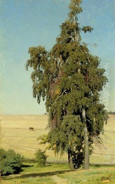 A Tree On The Steppe - view 1