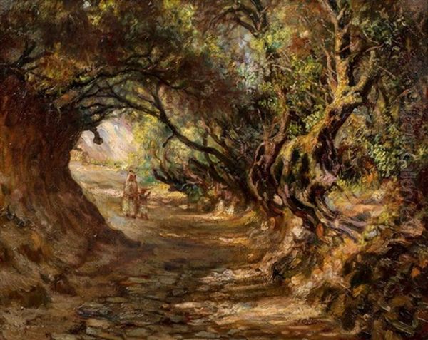 Le Chemin Des Oliviers, Alger - view 1