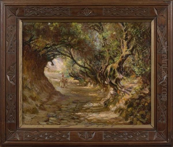 Le Chemin Des Oliviers, En Algerie - view 1