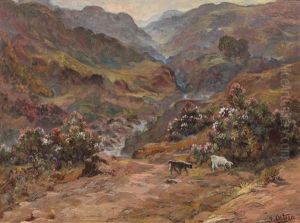 La Vallee De L'oued Kebir-blida by Jose Benito Ortega