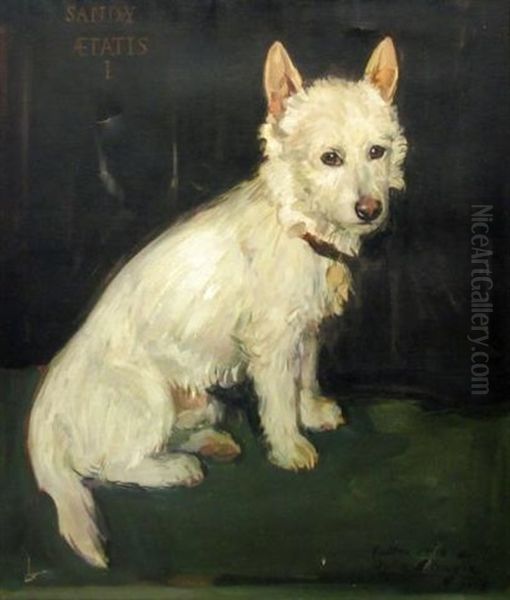 Sandy, Age 1 - view 1