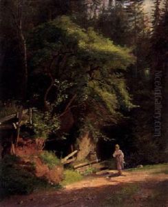 Waldlichtung Waldlichtung
