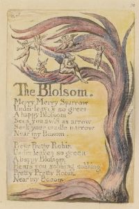 The Blossom by William Blake