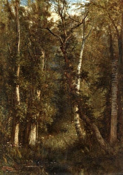 Interieur De Foret - view 1