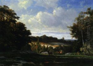 Cerfs Dans Une Clairiere