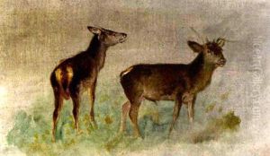Hirschkuh Und Hirsch Auf Wiesenterrain by Francois Auguste Ortmans