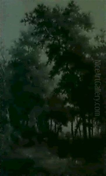 A Woodland Clearing - view 1