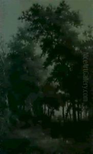 A Woodland Clearing