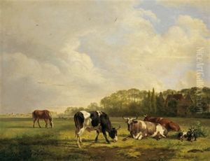 Tierherde Auf Der Weide