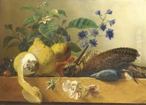 A Snipe, A Kingfisher, Lemons And Flowers On A Ledge